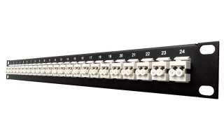 Bittree responds to growth of fibre