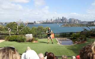 Taronga Zoo looks to Shure for royal visit