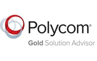 Techno Q named Polycom Gold Adviser